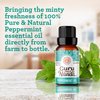 GuruNanda Peppermint Essential Oil (Pack of 2 x 0.5 Fl Oz) - 100% Pure, Natural & Undiluted Aromatherapy Oil for Diffusers - Perfect for Spa or Massage - Packaged in USA