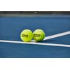 WILSON Triniti Pro Tennis Balls - 3 Balls, Yellow