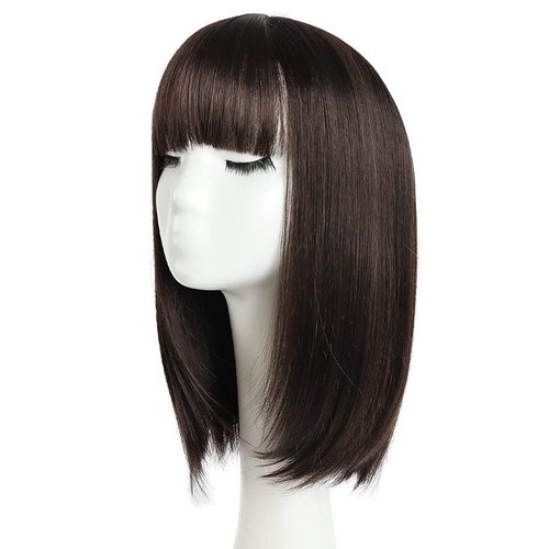 HSPCYGG Short Wigs Brown Bob Wig for Women with Bangs Halloween Cosplay Party Synthetic Daily 14 Inch Girls Straight (Free Wig Cap)