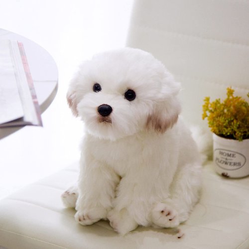 Tiny Heart Simulation Maltese Dog Plush Toys, Realistic Maltese Dog Stuffed Animal Plush Toys Soft and Cute Dog Plush Toys 10inch, Birthday Gifts for Kids, Home Decor