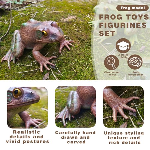 SCAHOW Realistic Tree Frog Figure Plastic Hand Painted Bullfrog Figurine Educational Rubber Animal Model Toys for Kids Children