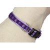 Purpletopia Paw Print Dog Collar