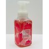 Strawberry Kiwi Gentle Foaming Hand Soap 8.75 Ounce Full Size Pump Bottle Wash