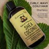 Sunny Isle Shea Coconut Moisturizing Shampoo 12oz | Infused with Jamaican Black Castor Oil | Curly Hair Shampoo | Hydrating for Dry Curls, Waves, Coils | Silicone, Paraben & Sulfate-FREE