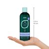 Hask Tea Tree & Rosemary Oil Scalp Care Shampoo - 12 fl oz