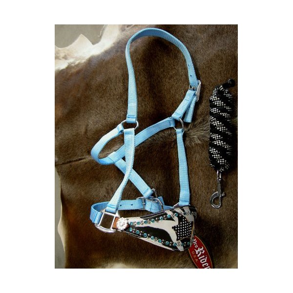 Horse Noseband Tack Bronc Leather Halter Tie Down Lead Rope Turquoise 280102