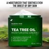 MAJESTIC PURE Tea Tree Oil Moisturizing Cream - Body, Foot & Face Moisturizer - With Ceramides, Vitamins A E & Vegan Collagen - For Dry Skin, Oily Skin, & Appearance Of Wrinkles - 16 oz