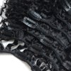 Luwigs Afro Kinky Curly 3B 3C Clip in Hair Extensions for Black Women Real Brazilian Virgin Human Hair Clip Ins Natural Color 7pcs/set (14 inches, 3B 3C Afro Kinky Curly)