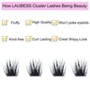 Individual Lashes 14-18mm 144pcs Cluster Lashes Mixed Tray Volume Eyelash Clusters DIY Lash Extension Kit Soft Lash Clusters Fluffy Mink Cluster Eyelash Extensions (03-0.07D, 14-18mm)