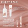 L’Oréal Paris Excellence Universal Nudes Permanent Hair Color, Ammonia Free Hair Dye for Gray Hair Coverage, 4N Natural Dark Brown, 1 Hair Dye Kit