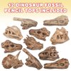 ArtCreativity Dinosaur Fossil Pencil Tops, Set of 12, Dinosaur Party Favors and Classroom Prizes for Kids, Great Back to School Gifts for Boys and Girls, Durable Plastic Dinosaur Pencil Toppers