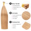 I Tip Hair Extensions Human Hair,100strands 0.8g/s 80g I Tip Human Hair Extensions, 27 Strawbrry Blonde 16inches Straight I-tip Real Hair Extensions
