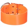 OmniPet Sunglo Regular Dog Collar, 2 x 21, Orange
