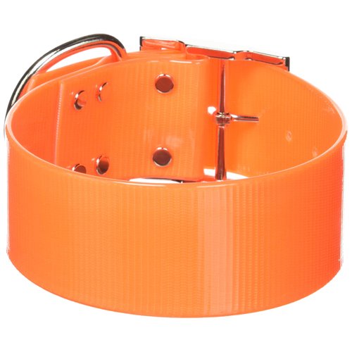 OmniPet Sunglo Regular Dog Collar, 2 x 21, Orange