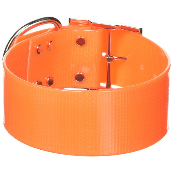 OmniPet Sunglo Regular Dog Collar, 2 x 21, Orange