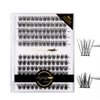 EYEBERLY Lash Clusters, 144pcs Individual Lashes Cluster Lashes DIY Eyelash Extensions C Curl 10/12/14/16mm Mix Length Eyelash Extensions Cluster Wispy DIY Lashes Natural Look (Dream&Crown)
