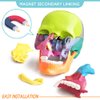 2024 New Anatomy Skull Model 15 Parts Human Anatomy Exploded Skull Detachable Palm-Sized Mini Human Color Medical Skull Model,Medical Dental Clinic Teaching Equipment,Learning with Color Study Manual
