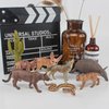 Desert Wild Animal Model Figures Playsets 8 PCS Cactus Armadillo Camel Fennec Fox Snake Meerkat Lynx Wolf Figurines Decoration Set Toys for Boys Girls Kids
