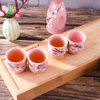 Asian Sake Set 4 Sake Cups 1 Sake Pot, Japanese Sake set of 5