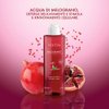 Perlier Pomegranate Micellar Water 200 ml, 6.7 Fl Oz made in Italy [italian import]