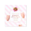 Beauty Bakerie Cotton Candy Champagne Blush Makeup Palette, Long Lasting Pigment, Matte and Metallic Highlighter Makeup, 4 Highlight Shades