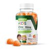 Zinc for Kids Gummies 10mg, with Vitamin C & Echinacea for Kids - Immune Support, Powerful Natural Antioxidant, Kids Zinc Vitamin Supplement - Vegan, Gelatin Free - Tasty Chewable Orange Flavor Gummy