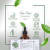 HBNO California Bottled Organic Tea Tree Oil for Skin 4 fl oz (120ml) - USDA Certified Organic Tea Tree Oil for Hair - Tea Tree Essential Oil for Aromatherapy, Tea Tree Oil for Face