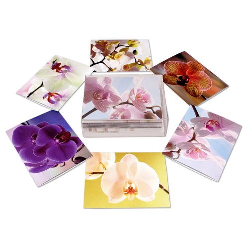 Small World Greetings Orchid Flower Note Cards 12 Count - Blank Inside with White Envelopes - A2 Size 5.5" x 4.25" - Floral Stationery - All Occasion Birthday, Thank You, and More
