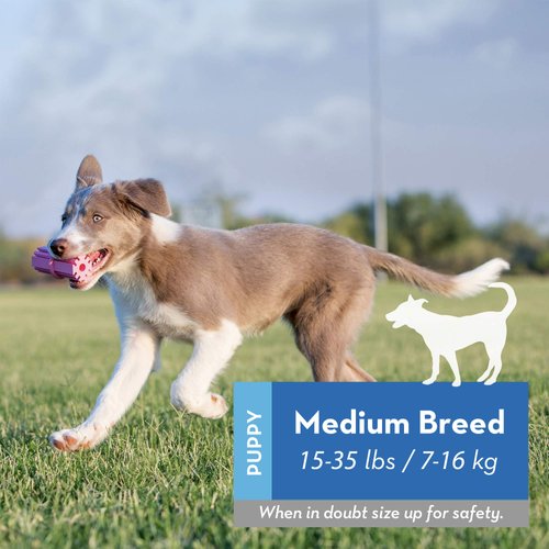 KONG Puppy Teething Stick - Soft Teething Stick for Growing Puppies - Teeth Cleaning Dog Toy - Chew Toy for Puppies with Ridges - Natural Rubber Toy Perfect for Snacks & Treats - for Medium Puppies