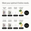 Needed. Prenatal Choline - Optimal Prenatal Choline Add On, 250Mg Talc-Free Filler, Heavy Metals Free, Brain Development in Utero/Early Life, with VitaCholine, Non-GMO, Allergen Free 60 Capsules