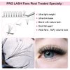 Premade Volume Eyelash Extensions 8D-D-0.07-12 Short Stem Premade Fans Eyelash Extensions 9 to 20 mm Volume Lash Extensions .07 .10 Pre made Lash Fans C D Curl (8D-D-0.07,12mm)
