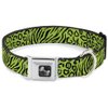 Buckle-Down Seatbelt Buckle Dog Collar - Cheebra Green/Black - 1.5" Wide - Fits 16-23" Neck - Medium