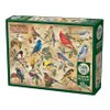 Cobble Hill 1000 Piece Puzzle - Popular Backyard Wild Birds of North America - Sample Poster Included