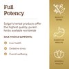 Solgar - Full Potency Milk Thistle, 250 Vegetable Capsules