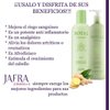 Jafra Royal Ginger Body Lotion and Body Oil Big Size 16.9oz Each