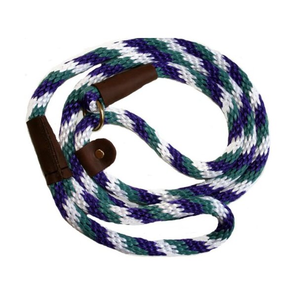 Lone Wolf Slip Lead with Leash and Collar for Pets, 1/2 by 6-Feet, Teal/Purple/White Spiral