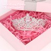 CIEHER Small Crown for Girls Cake Topper Mini Crown Girls Princess Tiara Birthday Crown Wedding Cake Decoration - Silver and Pink