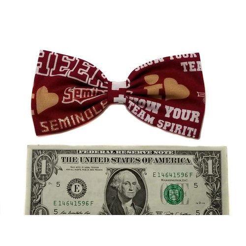 EmilyRose Couture Sports Themes Hair Bow Collection (Barrette, Seminoles Glitters)