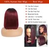 Kislemon 1b99J HD Lace Front Wigs for Black Women 13x4 Deep Part Grade 10A Burgundy Straight Bob Human Hair Wigs 180% Density Pre Plucked Natural Hairline With Baby Hair 10 Inch