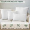 OTOSTAR Pack of 2 Throw Pillow Inserts, 12 x 20 Cushion Inner Soft Fluffy Plump Stuffer Cushion Pads White Decorative Pillow Inserts