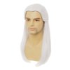 Dai Cloud White Straight Wigs for Men Halloween Costume Wig Long White Straight Male Hair Cosplay Anime Wig for Party