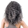 SWACC 20-Inch Long Big Bouffant Curly Wigs for Women Synthetic Heat Resistant Fiber Hair Pieces with Wig Cap (Gray Mixed Highlights)