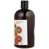 Organic Shampoo-With Aloe vera-Vitamin E- Rose Hips-Hemp-Castor Oil-Tea Tree- Argan- Macadamia- Coconut & Jojoba Extract-Sulfate/Paraben Free- For All Hair Types - Men & Women (16 OZ)