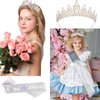 Chanaco Birthday Sash and Crowns for Women, Happy Birthday Sashes and Tiaras for Girls, Rhinestone Crown Hair Accessories “It”s my Birthday” Sash for Party Favors Decorations