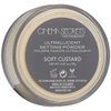 CINEMA SECRETS Pro Cosmetics Ultralucent Loose Setting Powder, Soft Custard
