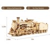ROKR 3D Wooden Puzzle for Adults-Mechanical Train Model Kits-Brain Teaser Puzzles-Vehicle Building Kits-Unique Gift for Kids on Birthday/Christmas Day(1:80 Scale)(MC501-Prime Steam Express)