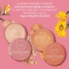 Rachel Couture Translucent Finishing Powder with Shine-Free Matte Finish | Vegan & Cruelty-Free Setting Powder | Arnica Extract Infusion - 0.28 Oz - Medium