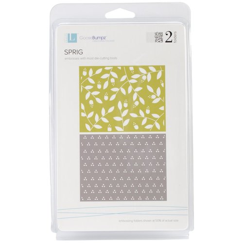 QUICKUTZ Lifestyle Crafts Sprig 2-Pack Embossing Folder for Scrapbooking