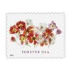 2022 Tulips Forever First Class Postage Stamps | Flowers, Garden, Love, Wedding Theme | (2 Sheets, 40 Stamps)