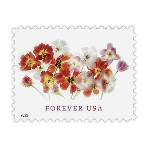 2022 Tulips Forever First Class Postage Stamps | Flowers, Garden, Love, Wedding Theme | (2 Sheets, 40 Stamps)